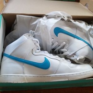 Brand New Nike SB Dunk High TRD QS